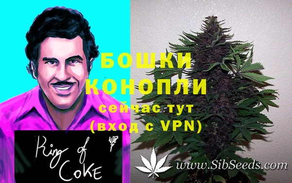 spice Горняк
