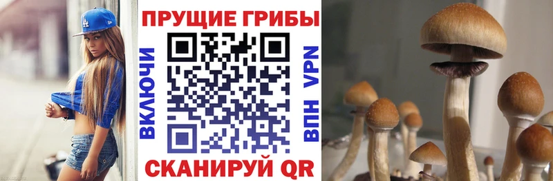 даркнет сайт  Фурманов  Галлюциногенные грибы Psilocybine cubensis 